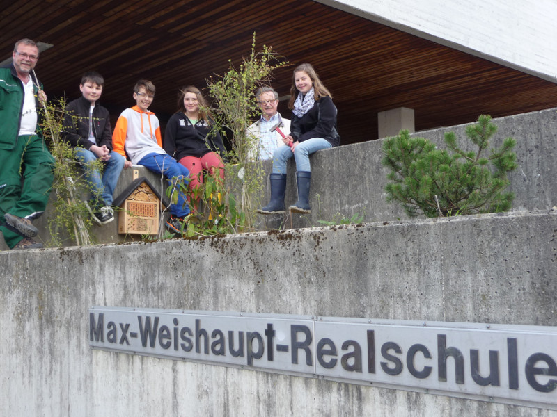 Bienefleißige Helfer