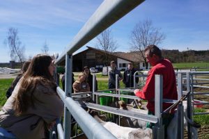 Zu Besuch auf dem Wendelhof