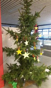 Am Weihnachtsbaum in der Aula wurden die Sternchen mit den Überraschungen täglich aufgehängt