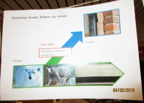 Bionik-Präsentation in der Aula