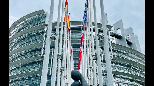 Vive l’Europe! - Straßburgfahrt Klasse 9 Fach Französisch